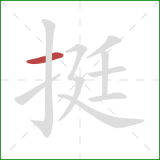 挺的笔顺第1画：横