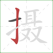 摄的笔顺第2画:竖钩 摄的笔顺第2画:竖钩