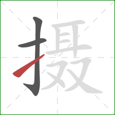 摄的笔顺第3画:提 摄的笔顺第3画:提