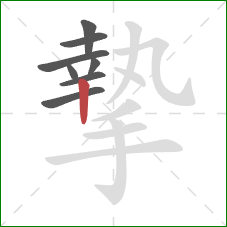 摯的笔顺第8画:竖 摯的笔顺第8画:竖