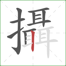 攝的笔顺第12画：竖