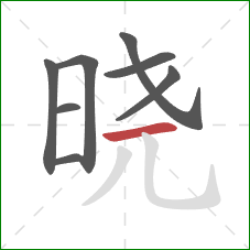 晓的笔顺第8画：横