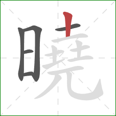 曉的笔顺第6画：竖