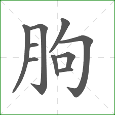 朐的部首 朐的部首