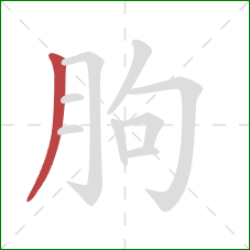 朐的笔顺第1画:撇 朐的笔顺第1画:撇