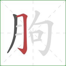 朐的笔顺第2画:横折钩 朐的笔顺第2画:横折钩