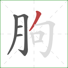 朐的笔顺第5画:撇 朐的笔顺第5画:撇