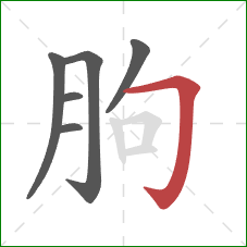 朐的笔顺第6画:横折钩 朐的笔顺第6画:横折钩