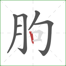 朐的笔顺第7画:竖 朐的笔顺第7画:竖