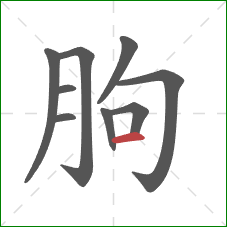 朐的笔顺第9画:横 朐的笔顺第9画:横