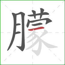 朦的笔顺第11画：横