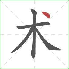 术的笔顺第5画:点 术的笔顺第5画:点