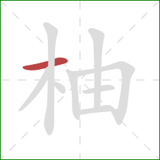 柚的笔顺第1画:横 柚的笔顺第1画:横