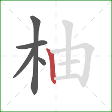 柚的笔顺第5画:竖 柚的笔顺第5画:竖