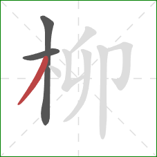 柳的笔顺第3画:撇 柳的笔顺第3画:撇