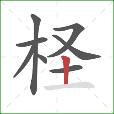 柽的笔顺第8画:竖 柽的笔顺第8画:竖
