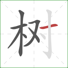 树的笔顺第7画：横