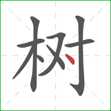 树的笔顺第9画：点