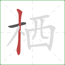 栖的笔顺第2画：竖
