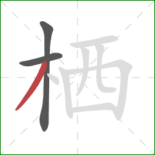 栖的笔顺第3画：撇