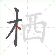 栖的笔顺第4画：点