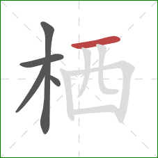 栖的笔顺第5画：横