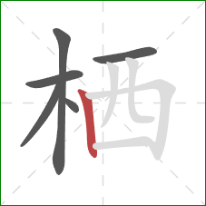 栖的笔顺第6画：竖