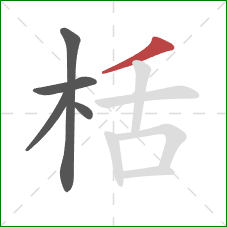 栝的笔顺第5画：撇