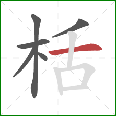 栝的笔顺第6画：横