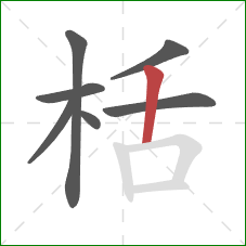 栝的笔顺第7画：竖