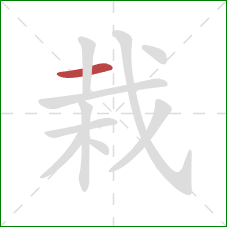 栽的笔顺第1画：横