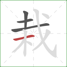 栽的笔顺第4画：横