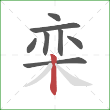 栾的笔顺第8画:竖 栾的笔顺第8画:竖