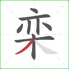 栾的笔顺第9画:撇 栾的笔顺第9画:撇