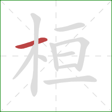 桓的笔顺第1画:横 桓的笔顺第1画:横