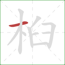 桕的笔顺第1画：横