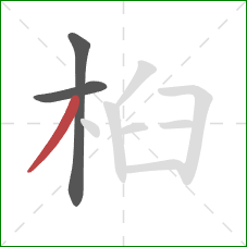 桕的笔顺第3画：撇