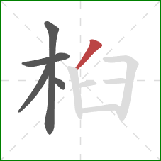 桕的笔顺第5画：撇