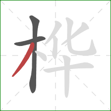 桦的笔顺第3画:撇 桦的笔顺第3画:撇