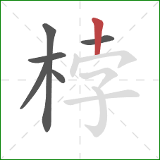 桲的笔顺第6画:竖 桲的笔顺第6画:竖