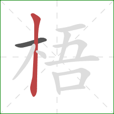 梧的笔顺第2画:竖 梧的笔顺第2画:竖