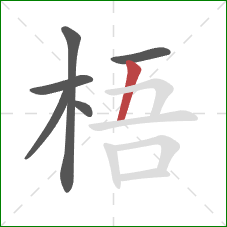 梧的笔顺第6画:竖 梧的笔顺第6画:竖