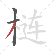 梿的笔顺第3画:撇 梿的笔顺第3画:撇