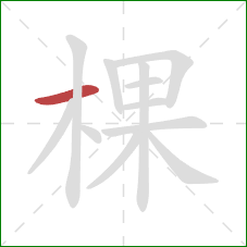 棵的笔顺第1画：横