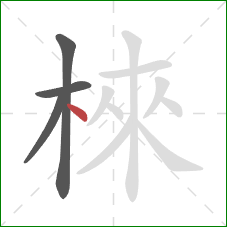 棶的笔顺第4画：点