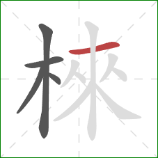 棶的笔顺第5画：横