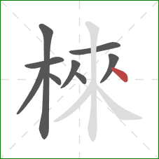 棶的笔顺第9画：点