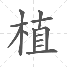 植的部首