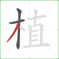 植的笔顺第3画：撇