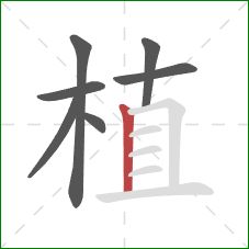 植的笔顺第7画：竖